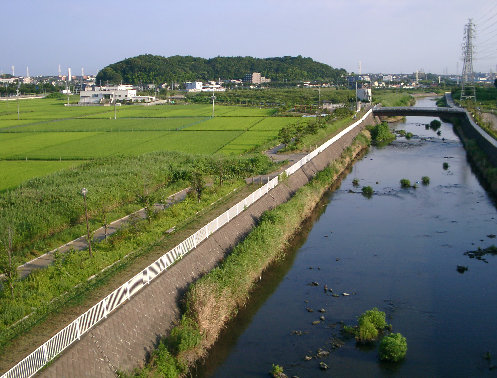 城下橋下流右岸風景の写真です