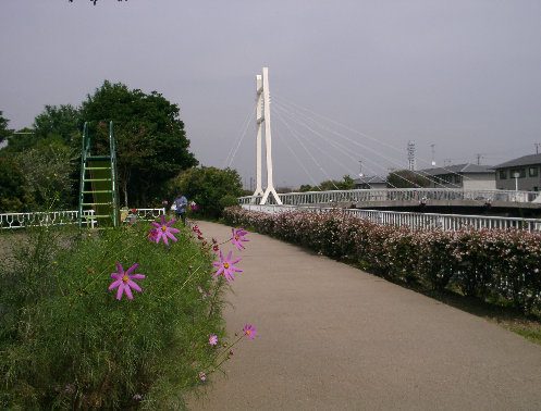 引地川緑地の写真です