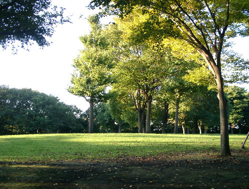 翠ヶ丘公園の写真です